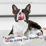 Bitter Apple Spray for Dogs -No Chew Spray for Dogs & Cats, pet Corrector to Stop Dogs from Chewing Furniture and Carpet,Indoor&Outdoor Use (50ml) - Image 7