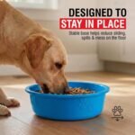 Loving Pets Dolce Luminoso Dog Bowl, Non-Skid Plastic Bowl, Large, Blue - Image 7