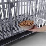 Collapsible Stainless Steel Dog Crate, 48" - Image 5
