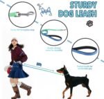 Roses&Poetry Bluegreen Small Dog Collar and Leash Set, Puppy Reflective Leashes with Collars, Adjustable Durable Matching Collar Leash for Small Dogs Girl (Bluegreen-XS) - Image 3