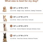Garnpet Soft Dog Crate for Extra Large Dogs, 4-Door Foldable Collapsible Dog Crate with Soft Sides, Indoor & Outdoor Travel Dog Kennel - Image 5
