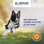 MOVOFLEX Advanced Soft Chews Hip and Joint Support Supplement for Small Dogs - 60 Count by Virbac - Image 3