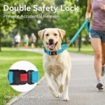 Joytale Martingale Collar for Dogs, Escape Proof No Pull, Sky Blue, M - Image 3