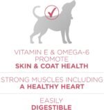 Purina ONE Plus Skin & Coat, Sensitive Stomach Dry Dog Food, 16.5 lb Bag - Image 4