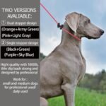 Reflective Slip Lead Leashes Puppy Training Lead – 4.3mm Paracord Rope with 12-Core Strength, 1000lb Pull Force Set of 2 for Small & Medium Dogs (Black & Neon Green, 4 FT) - Image 5
