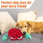 AWOOF 5 Pack Dog Squeaky Toys - No Stuffing, Durable Chew Toy Set for Puppy, Small to Large Dogs - Image 6
