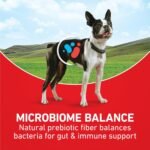 Purina ONE Small Bites Natural Dog Food, Beef and Rice Formula - Image 3