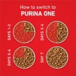 Purina ONE Small Bites Natural Dog Food, Beef and Rice Formula - Image 10