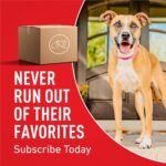 Purina ONE Small Bites Natural Dog Food, Beef and Rice Formula - Image 12