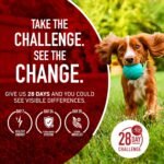 Purina ONE Small Bites Natural Dog Food, Beef and Rice Formula - Image 13