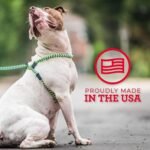 Harness Lead No Pull Dog Harness and Leash Set, Anti Pull Dog Harness, One-Piece Cushioned Rope Safely Prevents Escaping and Pulling (Medium/Large, Rainforest) - Image 7