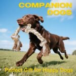 Fida Dog Rope Toys for Medium Large Dogs, Chew Toys for Aggressive Chewers - Image 6