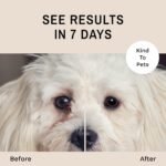 Eye Envy Tear Stain Wipes for Dogs. Textured to Gently Clean. Presoaked in Natural Formula. Recommended by AKC Breeders, Professional Groomers. Cleans Staining. USA Made. 60 Wipes - Image 3