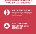 IAMS Proactive Health Large Breed Dry Dog Food, Lamb & Rice, 40 lb - Image 4