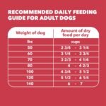 IAMS Proactive Health Large Breed Dry Dog Food, Lamb & Rice, 40 lb - Image 9