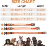 MASBRILL LED Dog Collar - Rechargeable, Waterproof, Glow Collar for Small to Large Dogs - Image 3