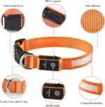 MASBRILL LED Dog Collar - Rechargeable, Waterproof, Glow Collar for Small to Large Dogs - Image 4
