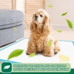 IMMCUTE Puppy Pads 22"x23" 100 Count | 6-Layer Leak-Proof & Super Absorbent Dog Training Pads | Disposable Potty Pads for Puppies, Dogs, Cats & Rabbits | Blue & White - Image 5