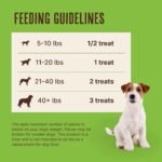 Waggin' Train Chicken Jerky Dog Treats, Made with 100% Real Chicken Breasts, Only Two All-Natural Ingredients, Great High Protein Dog Treat, Easily Digestible for Big or Small Dogs, 18 oz. Pouch - Image 5