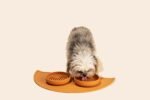 The Perfect Dish - Silicone Dog Bowl for Food & Water, 6" x 1.25"-Sage - Image 5