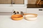 The Perfect Dish - Silicone Dog Bowl for Food & Water, 6" x 1.25"-Sage - Image 7