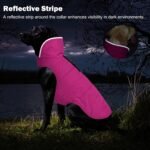 Petglad Waterproof Dog Winter Coat, Warm Fleece Dog Jacket with Leash Hole - Image 4
