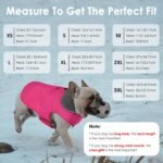 Petglad Waterproof Dog Winter Coat, Warm Fleece Dog Jacket with Leash Hole - Image 5