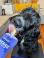 BUDDY BUDDER Dog Peanut Butter, 9 Pack Mixed Flavors, 4oz Pouches Dog Peanut Butter, Made in USA - Image 4