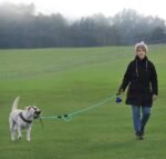 Plutus Pet Rope Dog Leash 6ft Long,Traffic Padded Two Handle,Heavy Duty,Reflective Double Handles Lead for Control Safety Training,Leashes for Large Dogs or Medium Dogs,Dual Handles Leads(Light Blue) - Image 3