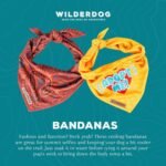 Wilderdog Dog Bandana with Lightweight Quick Drying Poly-Blend Mesh Material in Camp - Image 3