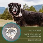 Wilderdog Dog Bandana with Lightweight Quick Drying Poly-Blend Mesh Material in Camp - Image 4