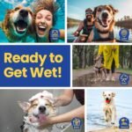 Shammy Dog Towel for Drying Dogs Large, 34x26in, Ultra Absorbent, 2 Pack - Image 5