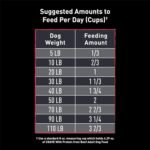 CRAVE Grain Free High Protein Adult Dry Dog Food, Beef, 12 lb. Bag - Image 5
