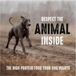 CRAVE Grain Free High Protein Adult Dry Dog Food, Beef, 12 lb. Bag - Image 7