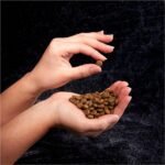 CRAVE Grain Free High Protein Adult Dry Dog Food, Beef, 12 lb. Bag - Image 9
