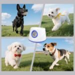 Dog Ball Launcher - Automatic Ball Thrower for Dogs, 3 Adjustable Distance Settings Dog Ball Thrower, Indoor Outdoor Interactive Fetch Machine Dog Toys for Small/Medium Sized Dog - Image 7