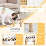 Elevated Slow Feeder Dog Bowl, 6.7" Ceramic Maze Dog Bowl with Stand - Image 4