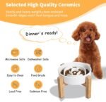 Elevated Slow Feeder Dog Bowl, 6.7" Ceramic Maze Dog Bowl with Stand - Image 5