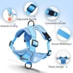 Dog Harness Small Sized Dog Pet Vest with Leash Set Blue M - Image 3