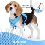Dog Harness Small Sized Dog Pet Vest with Leash Set Blue M - Image 4