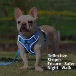 Dog Harness Small Sized Dog Pet Vest with Leash Set Blue M - Image 5