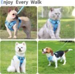 Dog Harness Small Sized Dog Pet Vest with Leash Set Blue M - Image 6