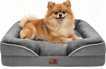 Spotted Play Orthopedic Dog Bed with Sides – Dog Sofa Beds for Small Dogs, Supportive Foam Pet Couch Bed with Washable Removable Cover, Waterproof Lining and Non-Slip Bottom, Grey – S