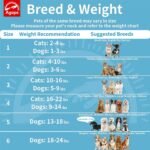 Agape Soft Dog Cone for Small Dogs & Cats, Recovery Collar to Stop Licking - Image 3