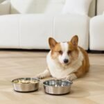 Dog Bowls, Food Grade Stainless Steel for Food and Water, 2-Pack, 3 Cups - Image 6