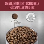 ORIJEN Grain Free WHOLEPREY Dry Dog Food Small Breed Recipe 4lb Bag - Image 6