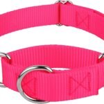 Country Brook Petz – Martingale Dog Collar – Heavy-Duty Training Collar with No Buckle – Service Dog Collar for All Pups – 20 Vibrant Colors (Hot Pink, 1 Inch, Medium)