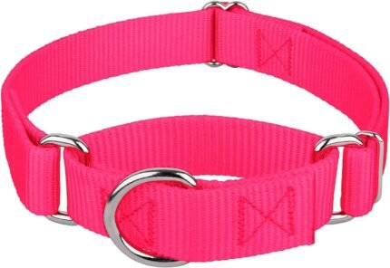 Country Brook Petz - Martingale Dog Collar - Heavy-Duty Training Collar with No Buckle - Service Dog Collar for All Pups - 20 Vibrant Colors (Hot Pink, 1 Inch, Medium)
