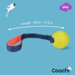 Coachi Tuggi Ball - Interactive Dog Toy for Tug of War & Play - Image 4