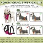 SlowTon Dog Seat Belt and Harness for Car, 2 in 1 Seatbelt Buckle, FU M - Image 5